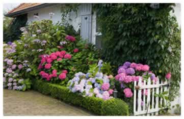Add Seasonal Color for an always blooming landscape